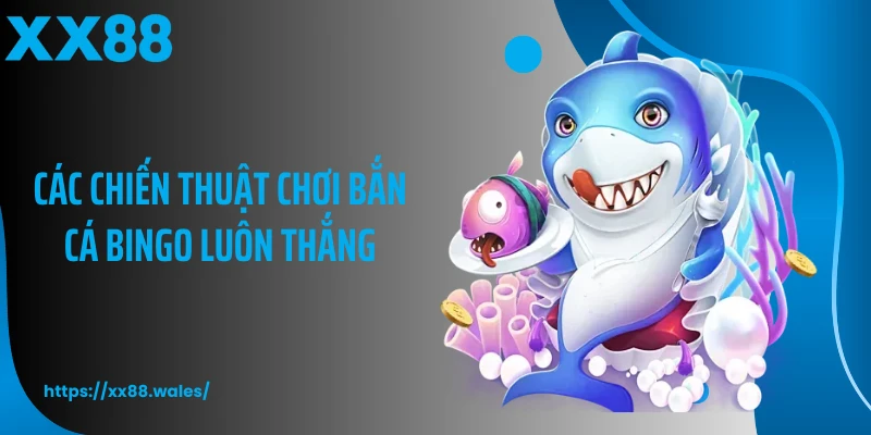 Các chiến thuật chơi bắn cá Bingo luôn thắng