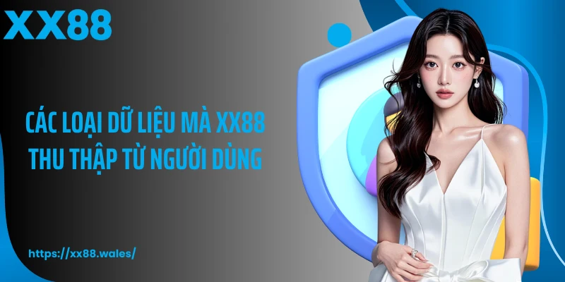 Các loại dữ liệu mà XX88 thu thập từ người dùng